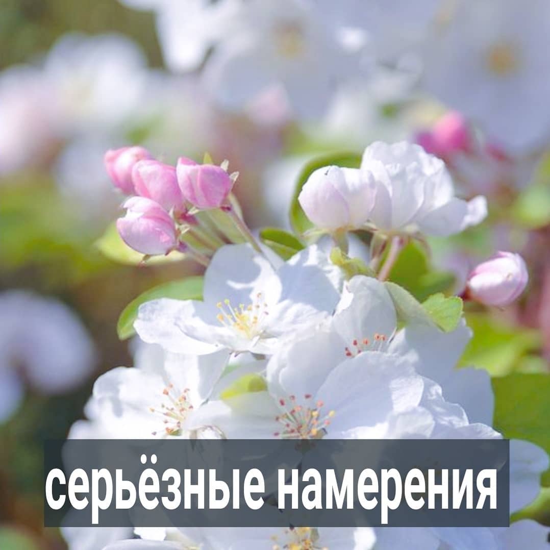 После вчерашнего поста женщинам стало интересно - а как же отличить серьёзные намерения от вежливости? Как понять, что мужчина искренне заинтересован?
⠀
Я и не сомневаюсь, что такой вопрос интересует большинство женщин. Но в самой постановке этого вопроса уже заложена нужда. Когда вы пытаетесь понять, серьёзно к вам относятся, либо это просто галантность, вы похожи на следопыта, который пытается внимательно изучить все мельчайшие детали и обстоятельства. Вы напряжены и зажаты, вам приходиться играть в непринужденность, но это всё выглядит очень натянуто. Вы напоминаете голодного уличного кота, который пытается понять, дадут ему еду или пнут.
⠀
Когда вы на старте пытаетесь разглядеть серьёзное отношение к вам, это говорит лишь о том, что вы неустойчивы и хотите быстрее динамики. Не можете не париться и не анализировать. И в таком состоянии практически невозможно построить любовь. Ну, только если ваш парень сильно беднее и проще вас.
⠀
Но, если речь идёт о мужчинах, которые вам нравятся, не душите их голодным взглядом некормленного кота. Вот какая разница, серьёзно он к вам относится, пока у вас приятельское общение, или нет? Если речь идёт о начале отношений, то здесь всё может 10 раз поменяться. Вначале он просто дежурно вам подавал руку, помогая выйти из маршрутки, а потом вы разобщались, он заинтересовался вами. И, если вы не успели оттолкнуть его каким-то своим неадекватным поведением, то после первого секса он может и влюбиться в вас.
⠀
А бывает наоборот - вы ему нравились на расстоянии, пока он ближе вас не рассмотрел. Возможно, вы красивая, и он волновался, когда вы проходили мимо. И, когда он начал за вами ухаживать, вы, как это бывает часто у красивых женщин, начинаете нести на свиданиях ересь, отмораживаете его всячески, даже не понимая этого. И вроде парень был изначально серьёзно настроен, но потом понял, что ему померещилось. Переспать с вами он не против, но влюбиться в вас у него уже не получится.
⠀
ПРОДОЛЖЕНИЕ ПОСТА В КАРУСЕЛИ ⬆️⬆️⬆️