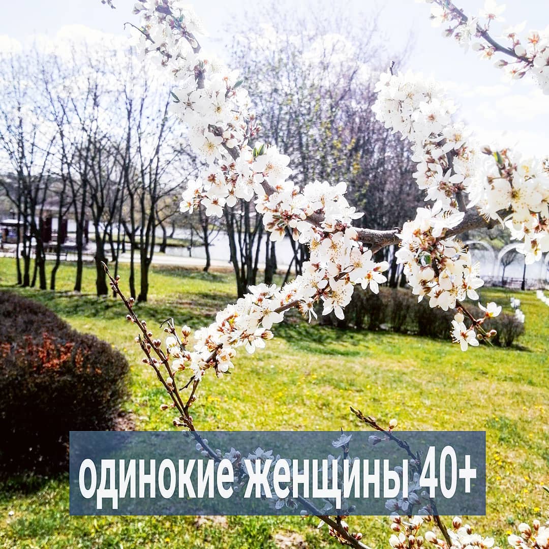 Почти треть клиенток в терапии у меня - незамужние женщины, которым 40-50 лет. Конечно же, все они когда-то были в браке, у них есть дети, а также, работа, деньги и недвижимость.
⠀
Поэтому пишу обобщенно, потому как истории их очень похожи и работаем с ними про одно и то же.
⠀
Таким женщинам правда непросто устроить личную жизнь. Хочется рядом мужчину сильного, заботливого, умного. Но таких рядом нет. Более того, с теми, кто рядом есть, отношения тоже не складываются. Женщину бросает между двумя крайностями - то она пытается рулить мужчиной, отношениями, то подстраивается, прогибается и унижается.
⠀
Такое поведение и молодых девушек не красит, но неопытным красоткам мужчины больше готовы прощать. Женщинам же постарше нужно иметь идеальные границы, красивую и достойную линюю поведения, тогда будет шанс на взаимную крепкую любовь.
⠀
Но многим и вправду сложно определиться - то ли они в душе маленькие девочки, которым хочется на ручки, то ли они знающие жизнь и диктующие условия взрослые тёти. Как правило, пытаются совместить и то, и другое, под настроение. В итоге, получается адский треш.
⠀
Если вам 40+ и вы хотите на ручки, то ищите себе мужчин 60 +. Для них вы всё ещё молоденькая и беззащитная. Но, если вы хотите быть маленькими девочками рядом с ровесниками, а некоторые и с мужчинами помладше хотят, то от вас будут шарахаться. Мужчины 40 + ещё могут органично  чувствовать себя папиками рядом с девушками до 30 лет, но при условии, что они худенькие, миленькие и выглядят моложе своих лет.
⠀
От взрослой же дамы ожидается совсем иное поведение. Где много достоинства, расслабленной самодостаточности, уверенности в себе. Женщина 40 + должна быть сытая, без собачьего заискивающего взгляда, без нужды. Вы должны излучать силу, внутреннее спокойствие, иметь интересы в жизни и интеллект. Молодящиеся дурочки без денег отпугивают за километр. И, если это про вас, то начать вам надо не с анализа отношений с мужчинами, а с того, чтобы переодеться адекватно возрасту, начать читать умные книжки, перестать наращивать волосы и  ресницы, прекратить бездумно колоть филлеры, а вместо этого привести в порядок профессию.
⠀
ПРОДОЛЖЕНИЕ ПОСТА В КАРУСЕЛИ ⬆️⬆️⬆️