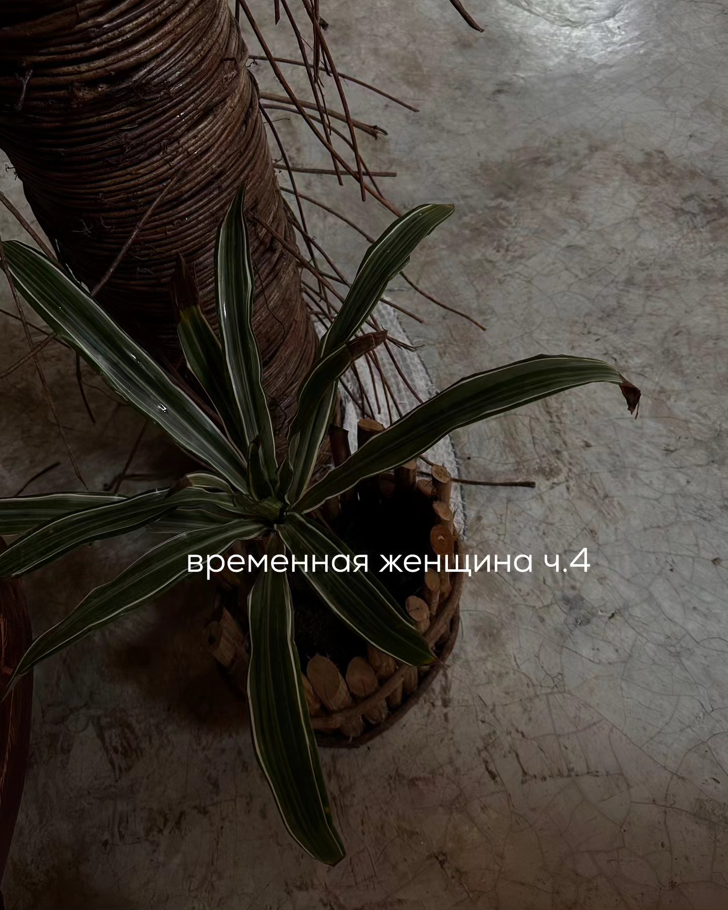 ПРОДОЛЖЕНИЕ. НАЧАЛО В ПРЕДЫДУЩИХ ПОСТАХ.
Через несколько дней Игорь забрал ноутбук Иры, заплатив своему знакомому за его ремонт, и сразу написал девушке, что устройство работает исправно.
⠀
Ира ответила предложением увидеться в кафе, поужинать и заодно забрать ноутбук.
На следующий день они встретились в стейк-хаусе, Игорь отдал спутнице девайс, та убедилась, что его действительно починили.
⠀
Ира обрадовалась, сказала, что Игорь повёл себя “очень по-мужски”, выручив её с ноутбуком. Потом, зачем-то, добавила, что рядом с Настоящей Женщиной мужчина растёт, становится успешнее и лучше, чем был до этого.
⠀
- Вот увидишь - продолжала девушка - Будешь общаться со мной, и у тебя пойдёт успех в делах! У меня так бывший парень вырос на моей энергии. Он сначала был простым менеджером, но потом стал начальником.
⠀
- Может, он просто много и хорошо работал? - уточнил Игорь.
⠀
- Да, но это всё благодаря тому, что я его напитала своей женской энергией - парировала Ира.
⠀
- Серьёзно? И как же это питание происходит?
⠀
- Ну смотри. Когда мужчина встречает Настоящую женщину, то он считывает её целительную энергию, вдохновляется ею, хочет быть настоящим добытчиком. А если у них случается $ек$, то напитка мужчины происходит ещё быстрее. Ведь матка - сакральный женский орган - первая чакра, отвечающая за материю. Так вот, мужчина даёт через 1-ую чакру, а получает через 2-ую - которая за удовольствие отвечает. Потом энергия поднимается выше - и мужчина уже отдаёт через 3-ью чакру. А как отдаёт? Материальными благами, финансовой заботой, конечно. А женщина потом через 4-ую сердечную чакру делится своей любовью. Ну и так далее, до 7 чакры. Таковы законы Вселенной.
⠀
- Не слышал об этих законах.
⠀
- То, что ты о них не слышал, не означает, что они не существуют.
⠀
- Возможно - ответил Игорь кратко, желая сменить тему.
⠀
И, немного подумав, поинтересовался, а что это за дорогостоящее хобби такое, о котором Ира упомянула на 1-ом свидании?
⠀
ПРОДОЛЖЕНИЕ В КАРУСЕЛИ ⬆️⬆️⬆️