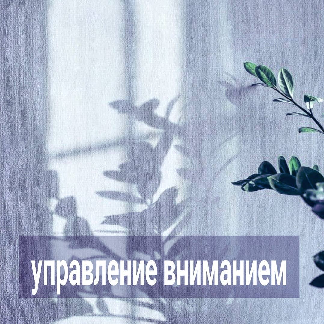 Многим сложно переключать своё внимание и отпускать ситуацию. Вообще, управление вниманием - важный навык. Но эффективно овладеть им можно ТОЛЬКО в совокупности с выстраиванием других настроек.
⠀
Если у вас нет опоры на себя, нет понимания границ, то ваше внимание будет блуждать туда-сюда и управлять им вам будет очень сложно. С опорой на себя у вас не возникнет желания что-то отжать у другого человека. Не будет внутреннего ждуна, который зависим от партнёра, и напряжённо следит за ним, надеясь получить желаемое.
⠀
Пока внутри жива идея, что кто-то вам что-то даст, ваше внимание будет постоянно направлено на поиск - где бы что ухватить. Мысли о самодостаточности будут вызывать у вас тревогу и уныние, в то время как надежда на спасение извне, наоборот, вызывать прилив позитивных эмоций. Соответственно, ваше внимание будет направлено не на то, как вам самостоятельно о себе позаботиться, а на поиск внешней опоры и попытки у неё что-то взять для себя.
⠀
С границами тоже самое. Если вы не видите реальных границ, ваше внимание будет блуждать либо до границ, либо за ними. Если вы ощущаете границы, территорию личной ответственности меньше, чем есть на самом деле, то вы будете недорабатывать, топтаться на месте, простаивать. А если наоборот - ваши границы вам кажутся обширнее, чем в реальности, то вы будете западать, пытаться навести свои порядки там, где у вас нет полномочий и не может быть отдачи.
⠀
Только при более-менее адекватных настройках вам будет легко уводить внимание от того, что вас не касается и не нужно вам, на то, что вам принесёт пользу и укрепит ваши позиции. Но самое главное - вы сможете отличить первое от второго.
⠀
Самооценка в управлении вниманием тоже играет не последнюю роль. Если вы находитесь в полюсе грандиозности, то ваше внимание будет направлено на выискивание у других людей восхищения вами, доказательства того, что вы суперзвезда.
⠀
Если самооценка находится в полюсе ничтожности, то внимание будет направлено внутрь, на самоедство, страдания, самобичивание. А также на поиск того, кто вас может взбодрить, чтобы вы снова чувствовали себя суперзвездой.
⠀
ПРОДОЛЖЕНИЕ ПОСТА В КАРУСЕЛИ ⬆️⬆️⬆️