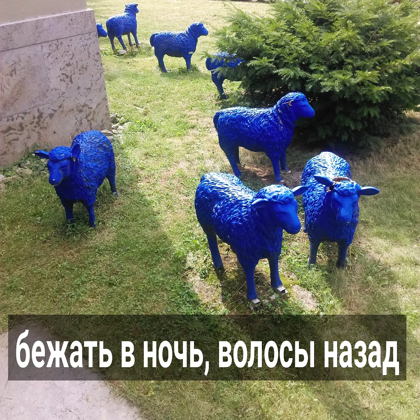 В прошлом посте писала про дистанцирование в отношениях, которое, при грамотном использовании, усилит ваши позиции.
⠀
С этим инструментом нужно быть аккуратнее. Применять его стоит в исключительных случаях и не злоупотреблять, видеть грани. На него очень легко подсесть и не заметить, как он начнёт работать против вас.
⠀
Вспоминаю клиенток, которые, чуть что - грозили мужьям разводом. Но в итоге, делали хуже только себе.
⠀
Обычно, начинается всё с какой-то ссоры. Женщина, начитавшись до этого про абъюзивные отношения, "понимает", что дальше она не хочет быть вместе на прежних условиях, и объявляет о разрыве.
⠀
Если мужчина был к ней привязан эмоционально, привык к ней, то его может зашатать, и он побежит её останавливать, обещая исправиться.
⠀
Женщина ликует. Она и сама не хотела уходить. Чувствует себя в данной ситуации сферху - найден эффективный рычаг, который дал быстрый результат.
⠀
А дальше этот инструмент используется по любому поводу. В случае конфликта, несовпадения интересов - женщина предлагает разрыв отношений.
⠀
И, чем дальше, тем больше этот способ начинает работать против неё.
⠀
"Разрывая" в очередной раз отношения, женщина ожидает, что мужчина побежит, как обычно, её останавливать.
⠀
Она уже примерно чувствует, в какой временной отрезок это должно произойти.
⠀
Если мужчина появляется в этом промежутке, то у неё наступает облегчение - она имеет тот результат, который хотела, при этом внешне не уступила своих позиций.
⠀
Но, если мужчина затягивает с примирением, и сроки, когда он должен был объявиться, вышли, то у женщины нарастает тревога.
⠀
Если он объявляется чуть позже этого срока, у неё снова появляется облегчение, но тревога зашкаливает. Она понимает, что дальше ей будет тяжелее - сама, пока туда-сюда бегала от мужчины, привязалась к нему ещё сильнее. А вот он, наоборот, утомился от её уходов, увидел, что её убегание в ночь - фейк.
⠀
Мужчина понимает, что она не разорвать отношения хочет, а прогнуть его на свои условия, выбить подтверждение того, что у неё больше власти.
⠀
ПРОДОЛЖЕНИЕ ПОСТА В КАРУСЕЛИ ⬆️⬆️⬆️