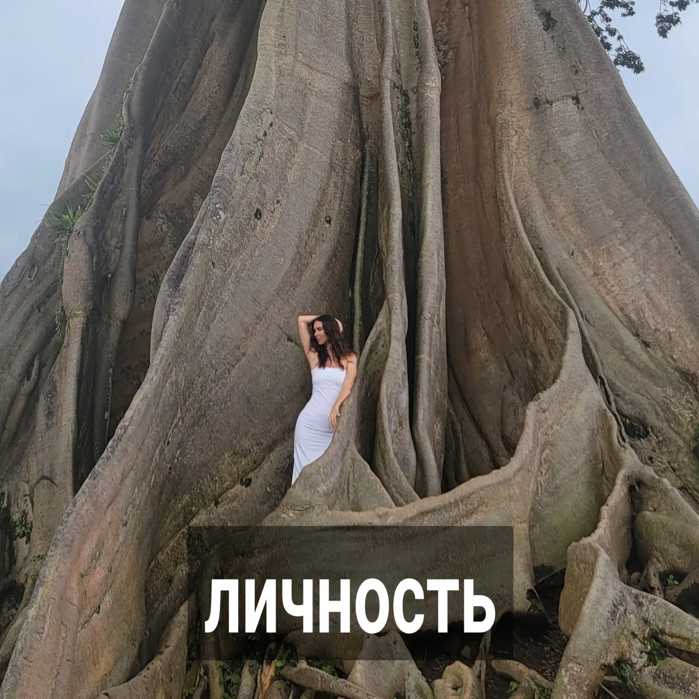 На личных консультациях поиск решений в вашей конкретной ситуации - лишь одна часть работы. Другая, наиболее важная часть - коррекция настроек.
⠀
Причём, эта работа осуществляется вами самостоятельно после сессии.
⠀
Без самостоятельной правки настроек в повседневной жизни не будет длительного эффекта от консультации. Т.к. при моей поддержке вы можете увидеть, как стоит в конкретном случае поступить, чтобы не ухудшить свои позиции, а сохранить их, либо, по возможности, улучшить. Но в дальнейшем, если не наработаете новые установки, паттерны взаимодействия, то скатитесь на прежний уровень.
⠀
При работе с настройками задавайте себе иногда следующие вопросы:
⠀
Какое у вас положение собственных опор - вы полагаетесь на себя, либо на внешние объекты?
⠀
- Есть ли ожидание, что проблему решит кто-то другой либо она сама рассосётся?
⠀
- Насколько адекватно вы оцениваете свои возможности, силы и ресурсы? Преувеличиваете либо, наоборот,  прибедняетесь, в надежде, что кто-то извне вам подаст руку помощи.
⠀
- Удаётся ли вам ясно видеть ЧУЖИЕ границы в разных аспектах?
⠀
- Куда направляете своё внимание? Удаётся ли вам им управлять, либо оно - само по себе, а ваша воля - сама по себе.
⠀
- Используете ли вы самооценку как инструмент для измерения состояния и положения собственных дел в какой-либо сфере, либо пытаетесь за счёт самооценки кайфануть и почувствовать себя на высоте вопреки реальности.
⠀
- Дружите ли вы с понятием иерархии?
⠀
- А с понятием чувства собственного достоинства?
⠀
‐ А со скромностью?
⠀
- Есть ли у вас сейчас вредные привычки, которые отнимают время и энергию?
⠀
‐ Ваши мысли сейчас о прошлом, настоящем или будущем?
⠀
- Насколько вы честны с собой? Признаёте ли свои слабые места?
⠀
- Вы входите в отношения со списком требований и ожиданий?
⠀
- Как относитесь к идее - отдавать больше, брать меньше?
⠀
Это только часть впросов, ответив на которые, можно диагностировать состояние ваших настроек. На личных встречах, когда вы рассказываете о себе и своей ситуации, можно легко увидеть, где настройки у вас работают хорошо, а где не очень.
⠀
ПРОДОЛЖЕНИЕ ПОСТА В КАРУСЕЛИ ⬆️⬆️⬆️