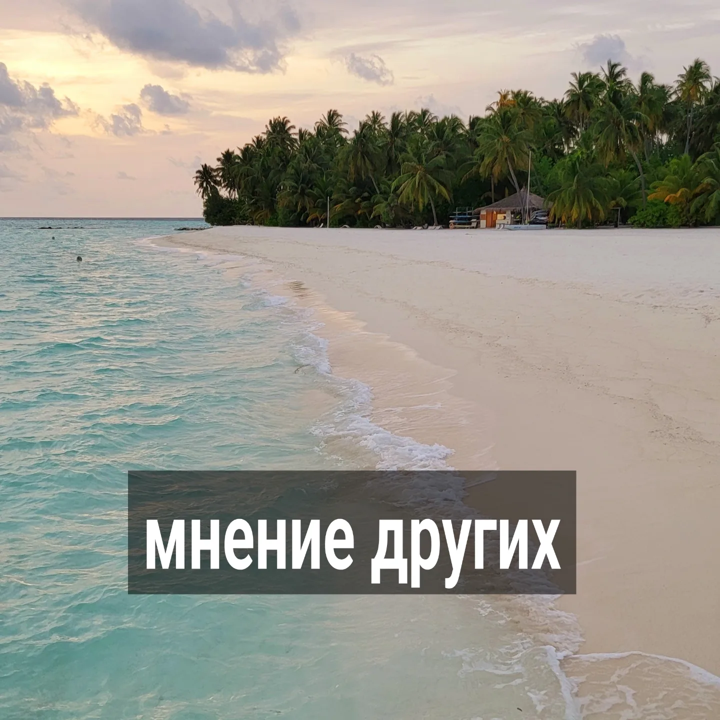 В комментариях под последним рилс прозвучала спорная идея: чтобы понять, как на самом деле вас воспринимают люди со стороны, нужно спросить об этом у близких.
⠀
Почему это плохая затея?
⠀
Во-первых, родственники и близкие друзья не всегда могут дать объективную обратную связь.
⠀
Они к вам относятся предвзято. Это не значит, что вам будут специально льстить.
⠀
Скорее всего, они действительно захотят помочь и дать свой честный взгляд на ваши качества. Но их мнение отобразит, во-первых, их собственные настройки, а во-вторых, их личные пожелания к вам.
⠀
Пример.
⠀
Вы жалуетесь двум близким подругам на очередного мужчину, пропавшего без объяснений. Просите подсказать, что, по их мнению, имеется в вашем поведении такого, что приводит к данному результату.
⠀
В ответ вы слышите от одной подруги:
- Ты слишком добрая и мягкая. Позволяешь на себе "ездить". Нужно уметь лучше отстаивать свои границы и заставлять себя уважать.
⠀
От второй:
- Ты закрытая очень, нужно больше общаться с мужчиной, говорить ему, чего от него хочешь на самом деле. Откуда ему знать, что ты непротив иметь с ним серьёзные отношения? Он же не умеет читать твои мысли.
⠀
Обе подруги вам оказывают медвежью услугу и помогают погружаться в иллюзии еще больше, хотя имеют намерение вам помочь.
⠀
Первая подруга выставляет всё так, будто такое хорошее качество, как доброта, может быть причиной остывания. Хотя причины охлаждения к вам - это всегда негативные паттерны. Мужчину подруга рисует абьюзером, нарушающим ваши границы.
⠀
Хотя, если он вас оставил и исчез, то, скорее всего, это вы оттолкнули мужчину тем, что проехались по его границам.
⠀
Вас подруга видит терпилой, которая страдает от нелюбви и невнимания тирана. Ей кажется, что вы могли бы не стеснятся, а истребовать из мужчины уважение к себе.
⠀
Послушав подругу, вы, вместо того, чтобы видеть чужие границы, рискуете в следующий раз быть ещё более агрессивной и "требующей" к себе уважения, вместо того, чтобы, наконец, самой начать уважать другого.
⠀
ПРОДОЛЖЕНИЕ ПОСТА В КАРУСЕЛИ ⬆️⬆️⬆️